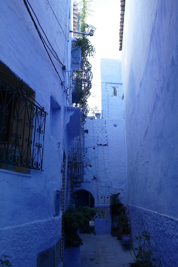 07-A very blue colored street.jpg - A very blue colored street